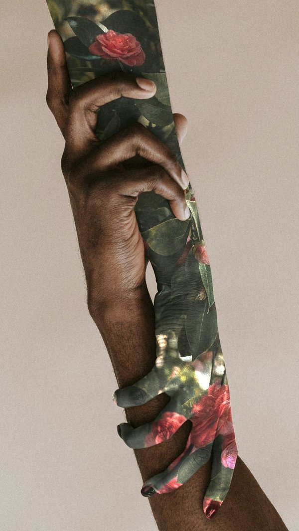 How to book a private boat trip along the Thames for a romantic evening?